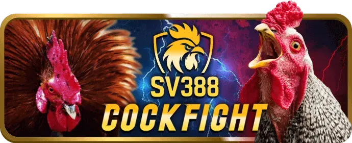 Lựa chọn game Slots zebet phù hợp