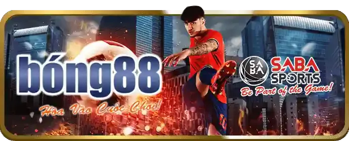 Tận dụng vòng quay miễn phí và bonus zebet
